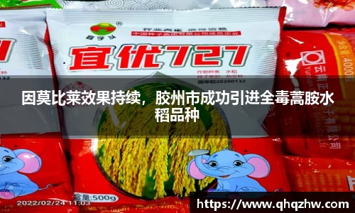 因莫比莱效果持续，胶州市成功引进全毒蒿胺水稻品种