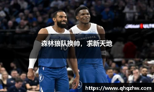 森林狼队换帅，求新天地